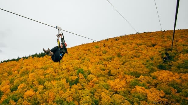 Discover the Best Fall Foliage Spots in New York State: Catskills to Adirondacks
