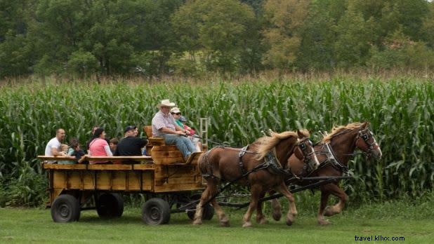 Top Things to Do in NYC This September: Festivals, Food & Fall Fun