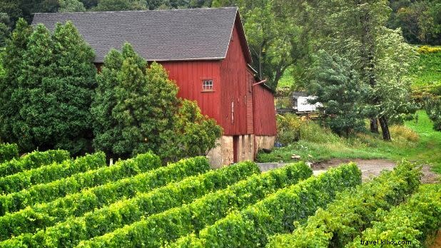 Top Things to Do in NYC This September: Festivals, Food & Fall Fun