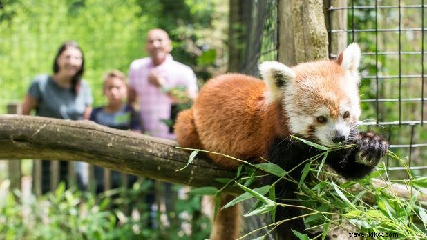 Unlock Hudson Valley s Hidden Gems: Off-the-Beaten-Path Attractions & Insider Tips