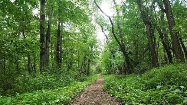 Discover New York State s Hidden Gem Hiking Trails