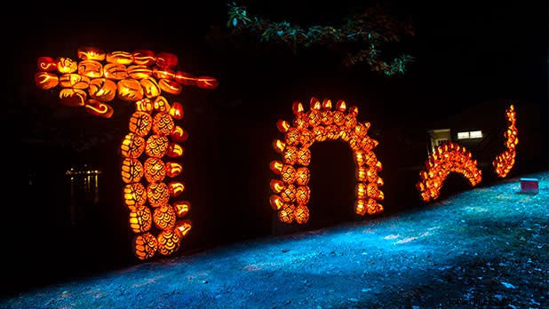 Top Scary & Family-Friendly Halloween Attractions in New York