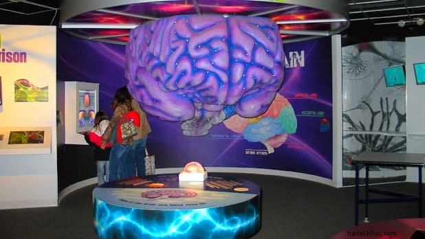 12 Best Kid-Friendly Activities in Syracuse, NY: Fun Family Adventures