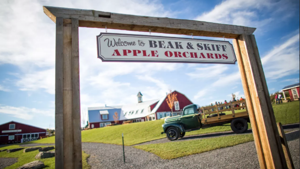 Ultimate 48-Hour Itinerary: Discover Syracuse, NY s BBQ, Parks & Culture