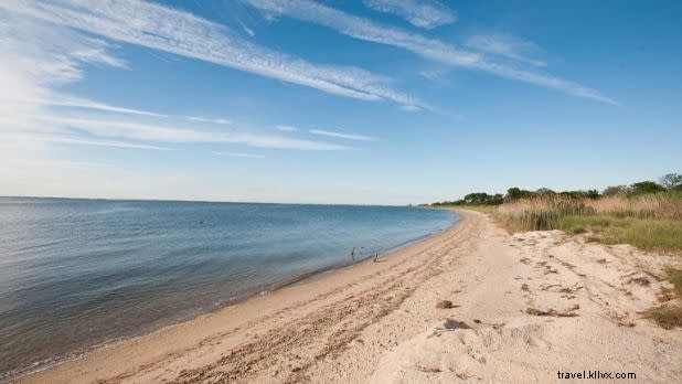 Discover 12 Top Picnic Spots in New York State: Perfect Al Fresco Escapes