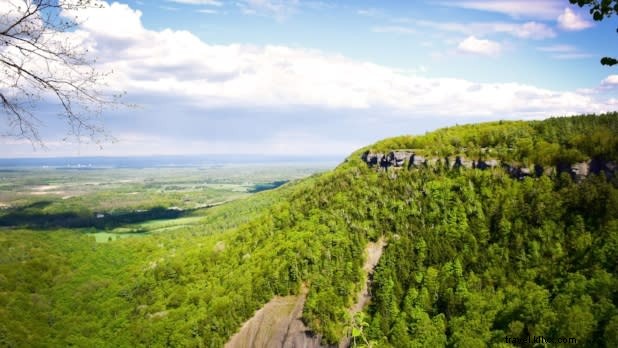 Discover 12 Top Picnic Spots in New York State: Perfect Al Fresco Escapes