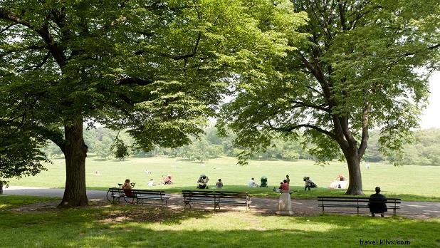 Discover 12 Top Picnic Spots in New York State: Perfect Al Fresco Escapes