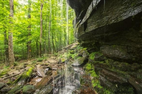Top 5 Best Hikes in Greene County, Catskills: Scenic Trails Near NYC