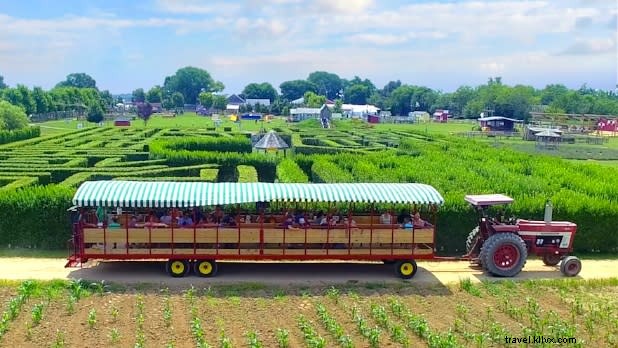 Discover Family-Friendly Wineries, Breweries & Cider Mills in New York State