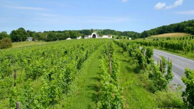 Discover Family-Friendly Wineries, Breweries & Cider Mills in New York State
