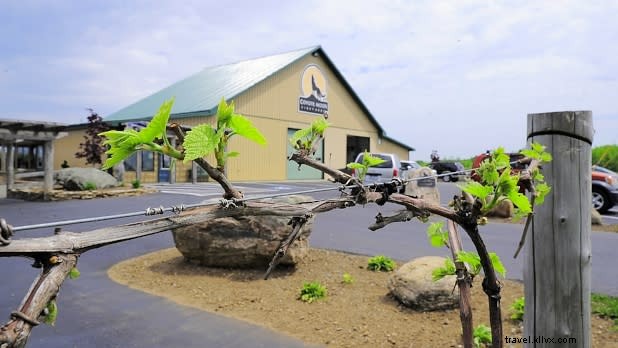 Discover Family-Friendly Wineries, Breweries & Cider Mills in New York State