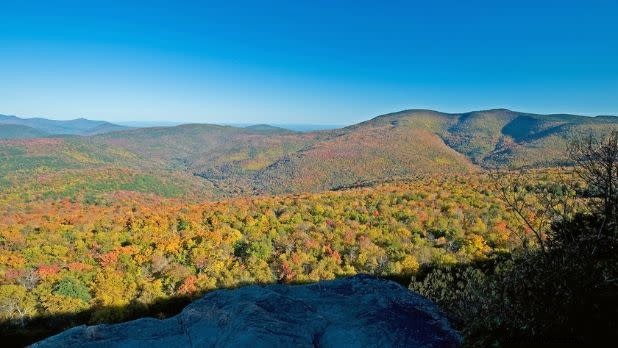 Top 14 Catskills Hiking Trails for Every Skill Level – Beginner to Expert