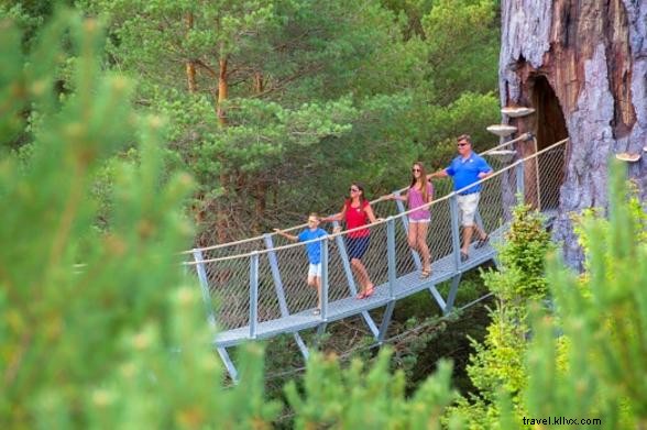 Best Father s Day Celebrations in New York State: Outdoor Adventures, Museums & More