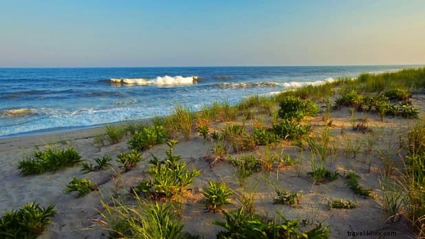 Ultimate Summer Beach Guide: Top Long Island Spots for Every Swimmer