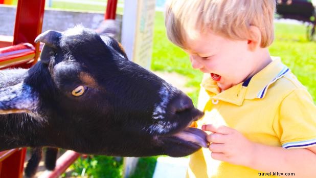 Discover the Hidden Secrets of the Thousand Islands-Seaway, NY