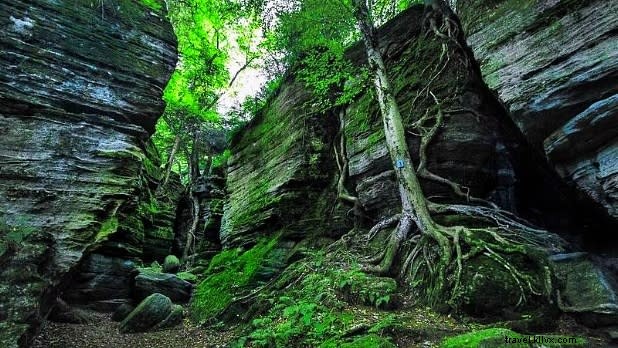 Discover Budget-Friendly Family Summer Vacations in New York State – Under $200/Night