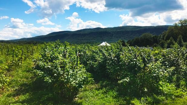 Ultimate New York State Summer Bucket List: Beaches, Fairs & Festivals