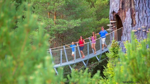 11 Best Weekend Getaways in New York State for a Refreshing Summer Escape