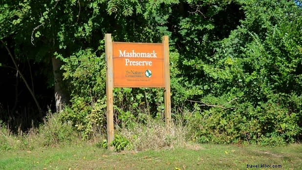 11 Best Weekend Getaways in New York State for a Refreshing Summer Escape