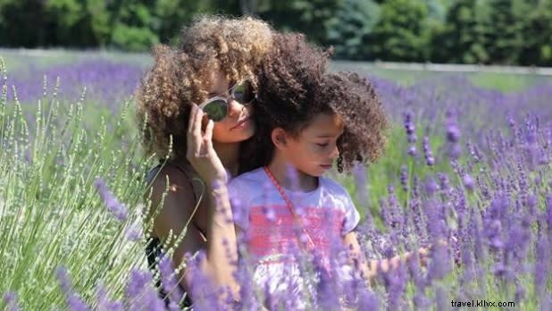 Escape Summer Boredom: 5 Top Family Getaways in New York State