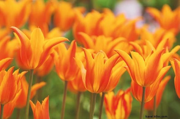 Discover Our Favorite #SpringIntoNY Instagram Posts: Spring in New York State