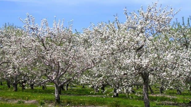 Discover the Best Things to Do in New York State This May