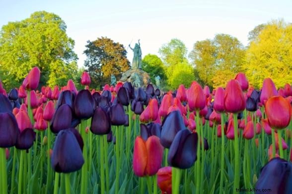 Ultimate New York State Spring Bucket List: Must-Do Festivals, Exhibits & Adventures