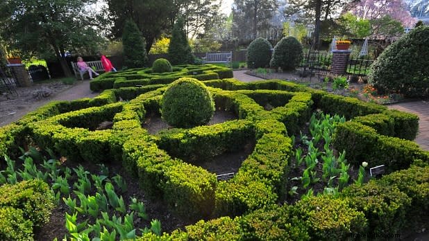 Best Mother s Day Celebrations in New York State: Unforgettable Ideas & Activities