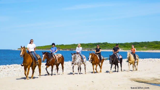 Unlock the Hidden Secrets of Long Island: Beyond Its Iconic Beaches
