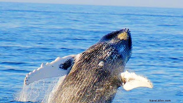 Unlock the Hidden Secrets of Long Island: Beyond Its Iconic Beaches