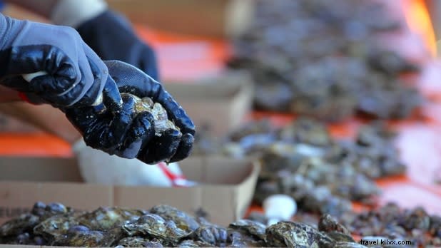 Discover New York State s Culinary Gems: Unique Dining Experiences That Shine