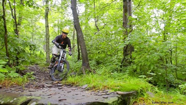 Discover the Best Biking Trails in New York State: Scenic Rides & Top Destinations