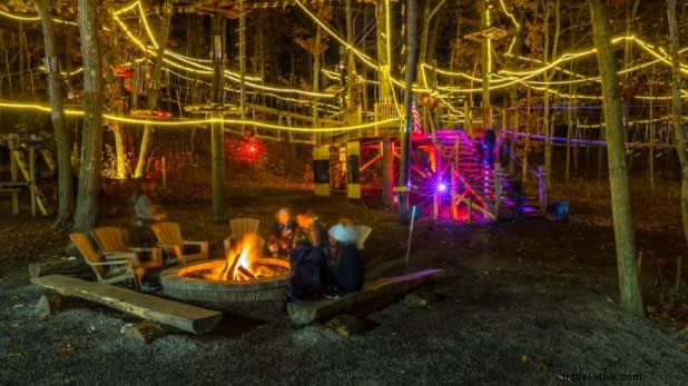 Top 12 Ziplining Adventures and Aerial Rope Parks in New York