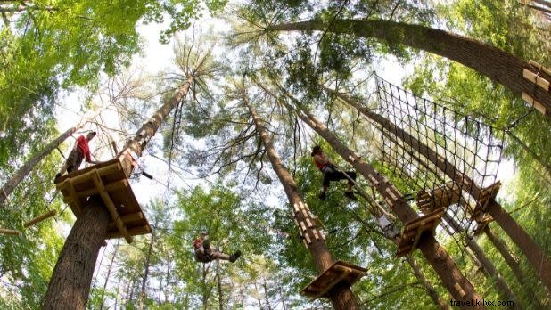 Top 12 Ziplining Adventures and Aerial Rope Parks in New York