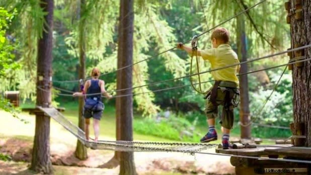 Top 12 Ziplining Adventures and Aerial Rope Parks in New York