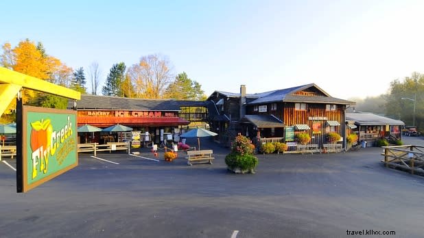 11 Best Family-Friendly Activities for Kids in Cooperstown, NY