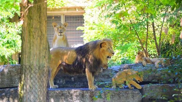 Discover Broadway Magic Across New York State – Beyond Times Square