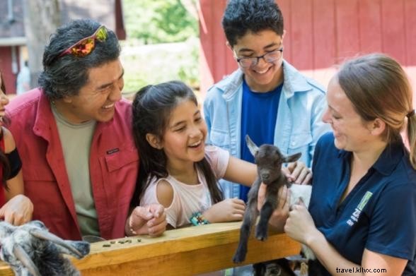 Your Complete 2018 NYC Long Weekends Guide: Expertly Planned Itineraries