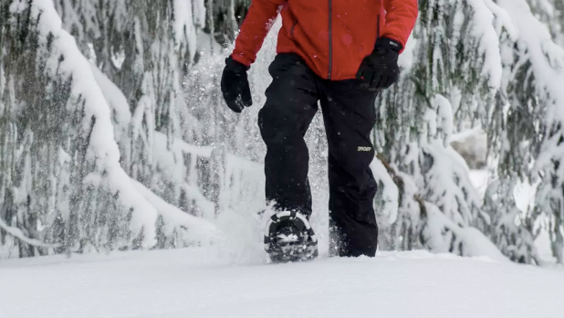 Top 9 Family-Friendly Activities in New York for School Break