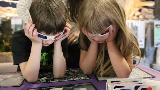 Top 9 Family-Friendly Activities in New York for School Break