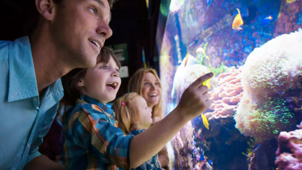 Top 9 Family-Friendly Activities in New York for School Break