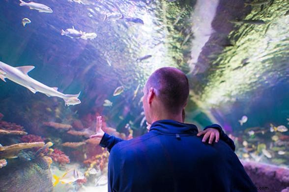 7 Ways to Bring Summer Vibes to Your New York Winter