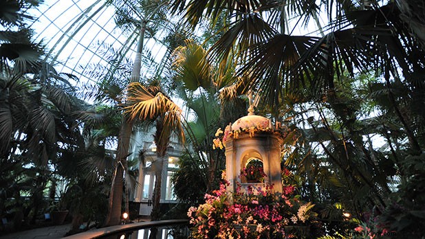 7 Ways to Bring Summer Vibes to Your New York Winter