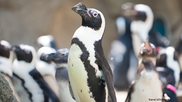 7 Ways to Bring Summer Vibes to Your New York Winter