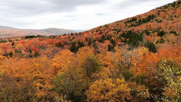 Stunning Fall Foliage Getaways in New York State