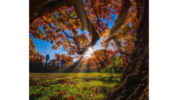 Stunning Fall Foliage Getaways in New York State