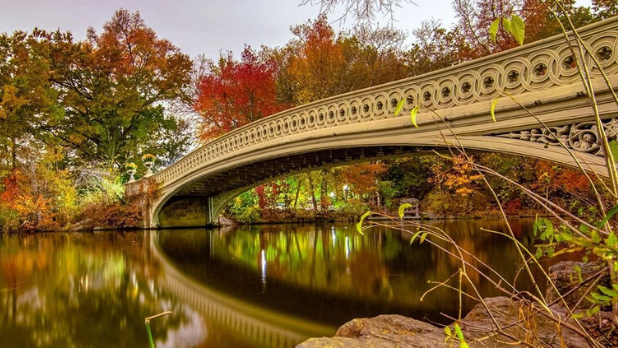 Stunning Fall Foliage Getaways in New York State