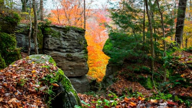 Stunning Fall Foliage Getaways in New York State