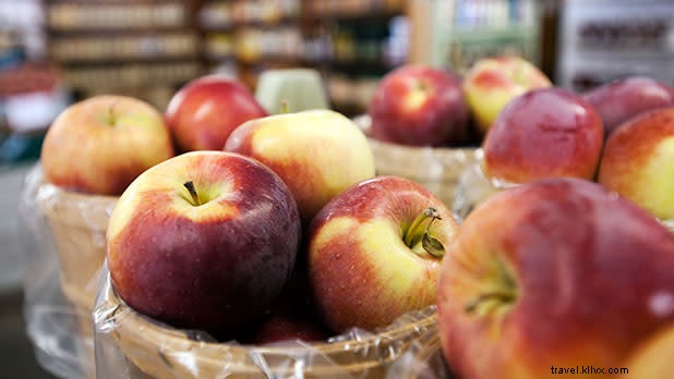Best Apple Picking Orchards in New York: Pick Fresh Apples & Sip Cider This Fall