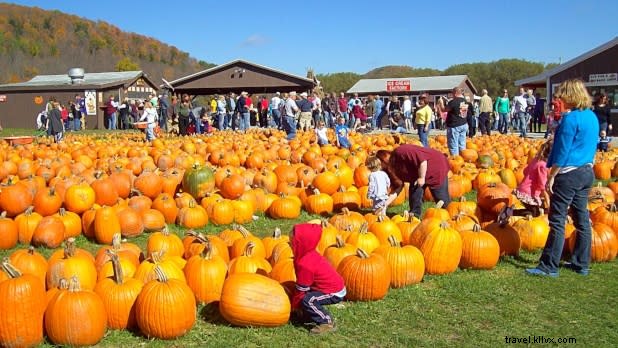 Discover 5 Top Fall Foodie Trips in New York State